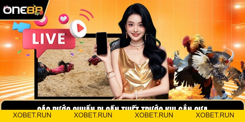 Cách Lên Cựa Gà - Những Quy Trình Định Hình Thao Tác Cách Lên Cựa Gà - Những Quy Trình Định Hình Thao Tác