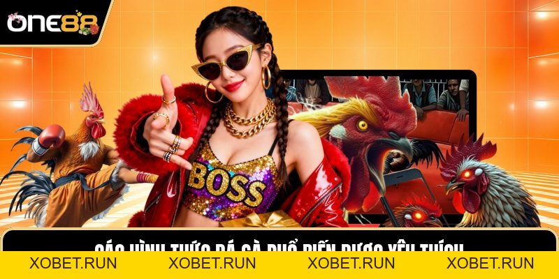 Đá Gà One88 - Nghệ Thuật Nhìn Nhận Cục Diện Chiến Kê