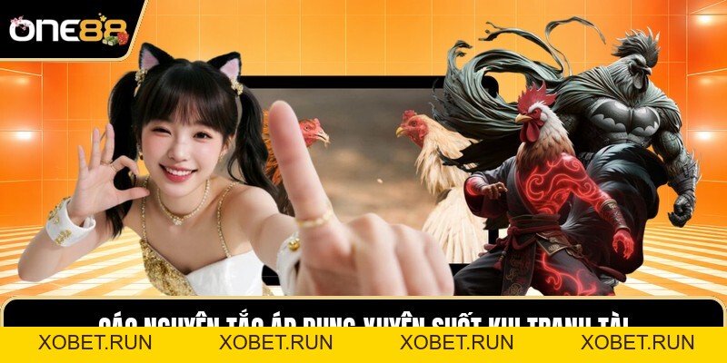 Luật Chơi Đá Gà - Những Quy Định Nền Tảng Trận Đấu Luật Chơi Đá Gà - Những Quy Định Nền Tảng Trận Đấu