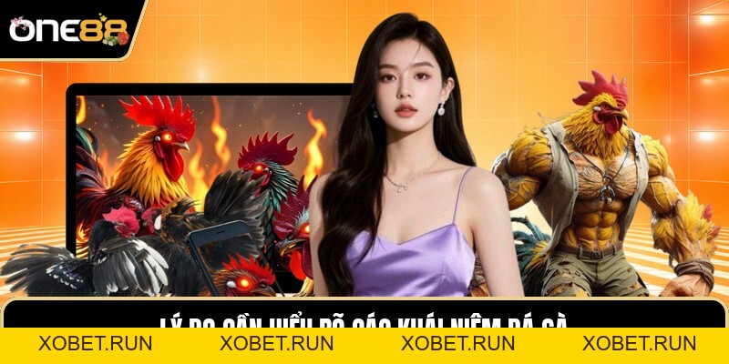Thuật Ngữ Đá Gà - Cẩm Nang Tra Cứu Kiến Thức Sâu Sắc Thuật Ngữ Đá Gà - Cẩm Nang Tra Cứu Kiến Thức Sâu Sắc