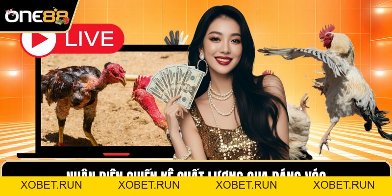 Cách Chọn Gà Chiến - Cẩm Nang Xem Tướng Kê Thần Chuẩn Cách Chọn Gà Chiến - Cẩm Nang Xem Tướng Kê Thần Chuẩn