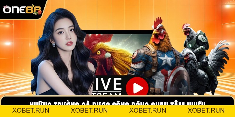 Đá Gà One88 - Nghệ Thuật Nhìn Nhận Cục Diện Chiến Kê