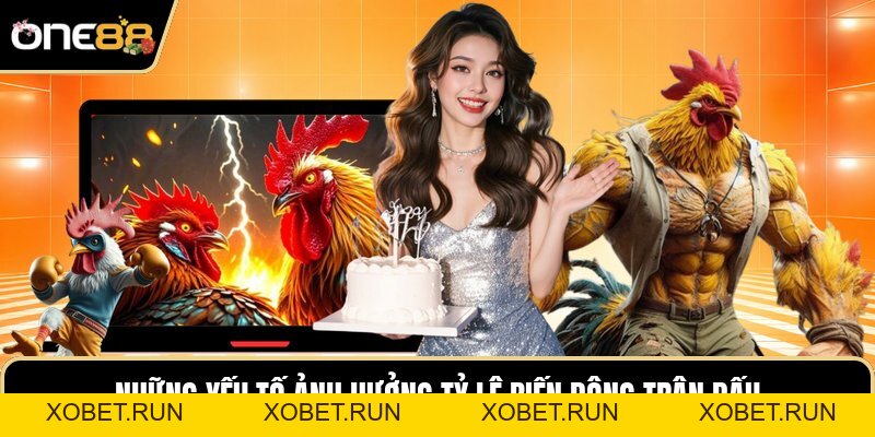 Đá Gà One88 - Nghệ Thuật Nhìn Nhận Cục Diện Chiến Kê