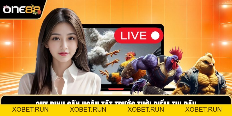 Luật Chơi Đá Gà - Những Quy Định Nền Tảng Trận Đấu Luật Chơi Đá Gà - Những Quy Định Nền Tảng Trận Đấu