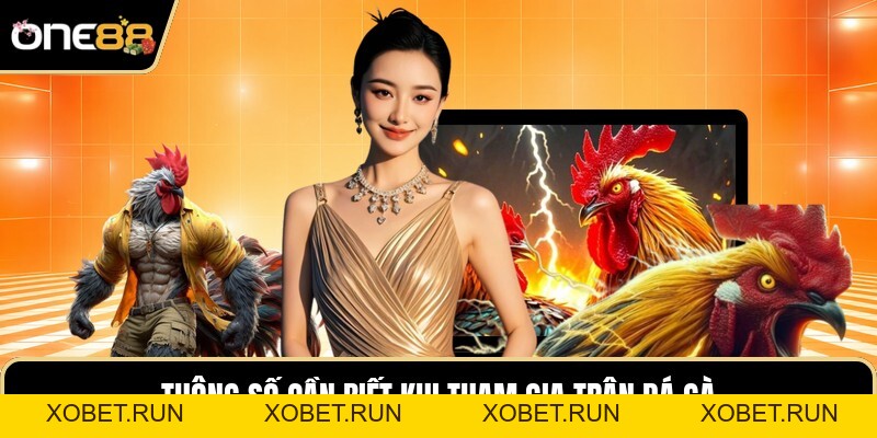Đá Gà One88 - Nghệ Thuật Nhìn Nhận Cục Diện Chiến Kê