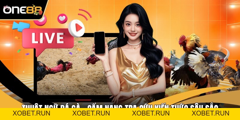 Đá Gà One88 - Nghệ Thuật Nhìn Nhận Cục Diện Chiến Kê Đá Gà One88 - Nghệ Thuật Nhìn Nhận Cục Diện Chiến Kê